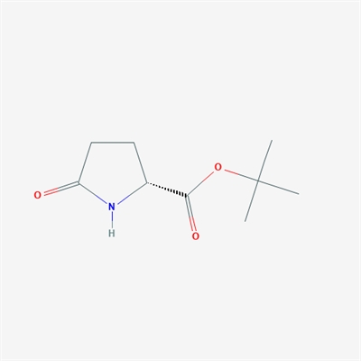 (R)-tert-Butyl 5-oxopyrrolidine-2-carboxylate