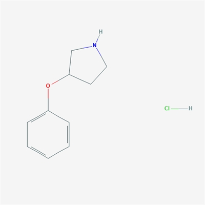 3-Phenoxypyrrolidine hydrochloride