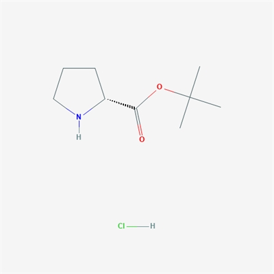 (R)-tert-Butyl pyrrolidine-2-carboxylate hydrochloride