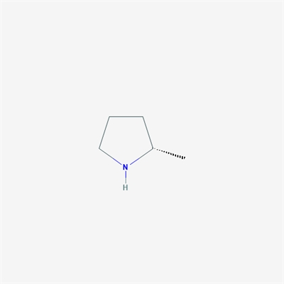 (S)-2-Methylpyrrolidine