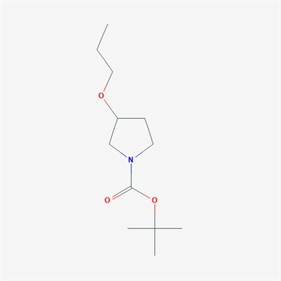 tert-Butyl 3-propoxypyrrolidine-1-carboxylate