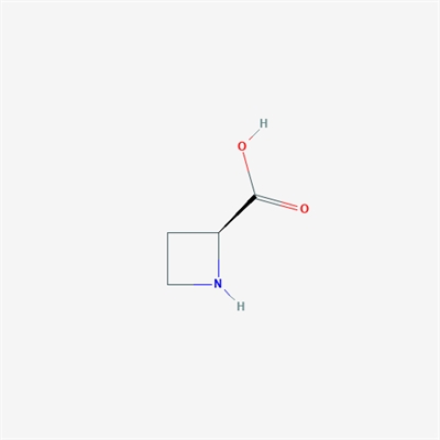 (S)-Azetidine-2-carboxylic acid