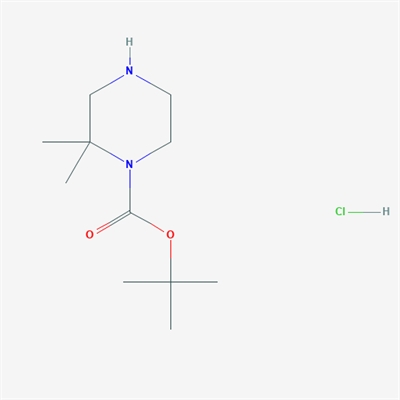 tert-Butyl 2,2-dimethylpiperazine-1-carboxylate hydrochloride