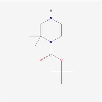 tert-Butyl 2,2-dimethylpiperazine-1-carboxylate