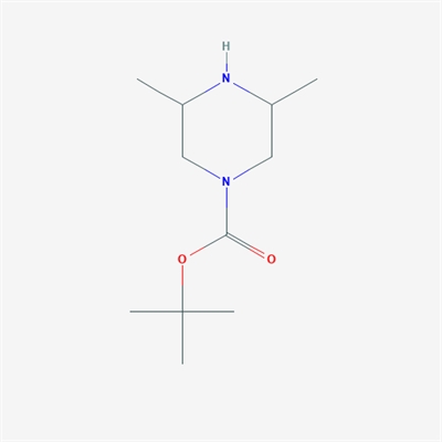 tert-Butyl 3,5-dimethylpiperazine-1-carboxylate