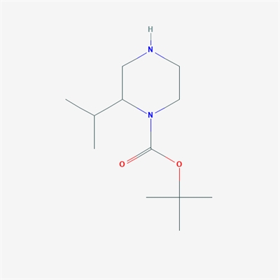 1-Boc-2-Isopropylpiperazine