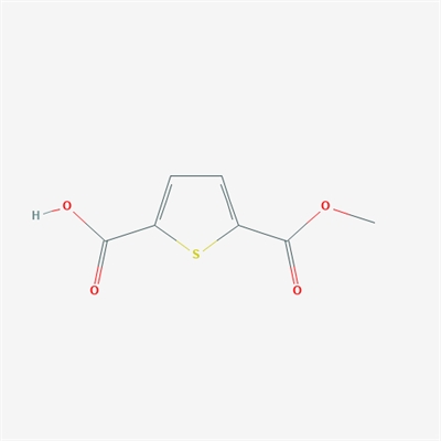 5-(Methoxycarbonyl)thiophene-2-carboxylic acid