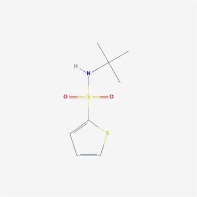 N-tert-Butyl-2-thiophenesulfonamide