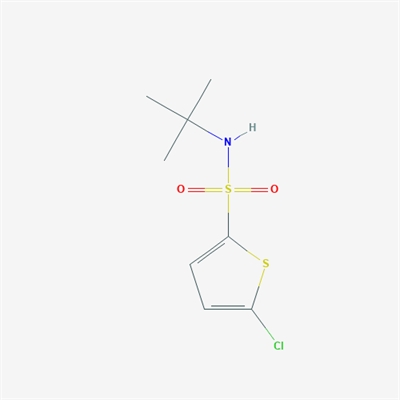 5-Chlorothiophene-2-sulfonic acid tert-butylamide