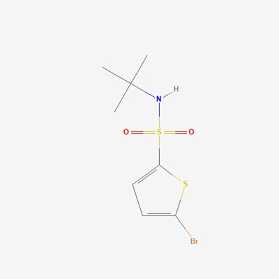 N-tert-Butyl 5-bromo-2-thiophenesulfonamide