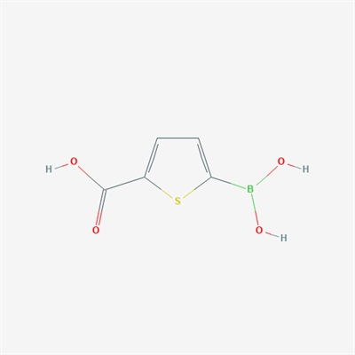 2-Carboxythiophene-5-boronic acid