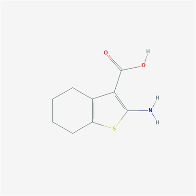 2-Amino-4,5,6,7-tetrahydrobenzo[b]thiophene-3-carboxylic acid