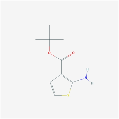 tert-Butyl 2-aminothiophene-3-carboxylate