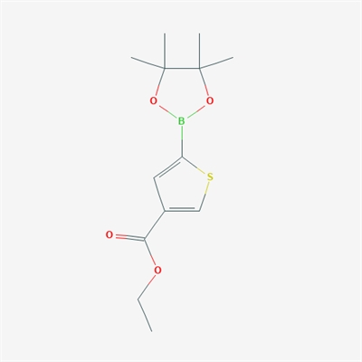 Ethyl 5-(4,4,5,5-tetramethyl-1,3,2-dioxaborolan-2-yl)thiophene-3-carboxylate