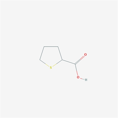 Tetrahydrothiophene-2-carboxylic acid
