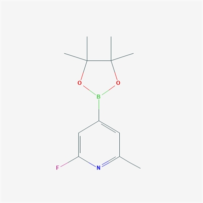 2-Fluoro-6-methyl-4-(4,4,5,5-tetramethyl-1,3,2-dioxaborolan-2-yl)pyridine