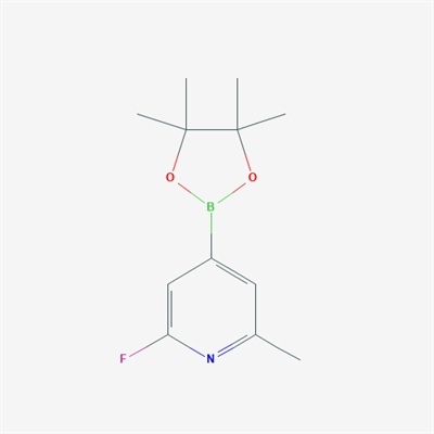2-Fluoro-6-methyl-4-(4,4,5,5-tetramethyl-1,3,2-dioxaborolan-2-yl)pyridine