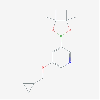 3-(Cyclopropylmethoxy)-5-(4,4,5,5-tetramethyl-1,3,2-dioxaborolan-2-yl)pyridine