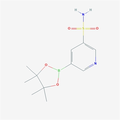 5-(4,4,5,5-Tetramethyl-1,3,2-dioxaborolan-2-yl)pyridine-3-sulfonamide