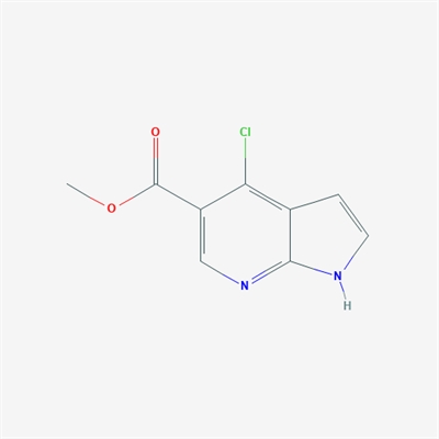 Methyl 4-chloro-1H-pyrrolo[2,3-b]pyridine-5-carboxylate