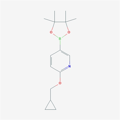 2-(Cyclopropylmethoxy)-5-(4,4,5,5-tetramethyl-1,3,2-dioxaborolan-2-yl)pyridine