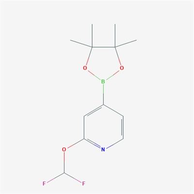 2-(Difluoromethoxy)-4-(4,4,5,5-tetramethyl-1,3,2-dioxaborolan-2-yl)pyridine