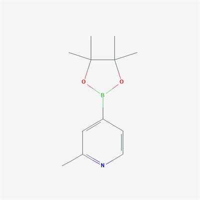 2-Methyl-4-(4,4,5,5-tetramethyl-1,3,2-dioxaborolan-2-yl)pyridine