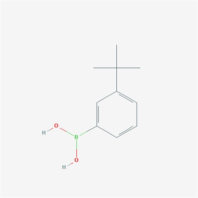 3-tert-Butylphenylboronic acid