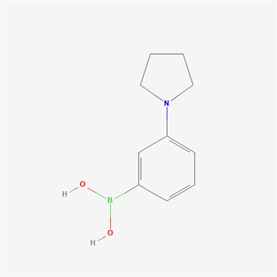 3-(Pyrrolidino)phenylboronic acid