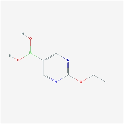 (2-Ethoxypyrimidin-5-yl)boronic acid