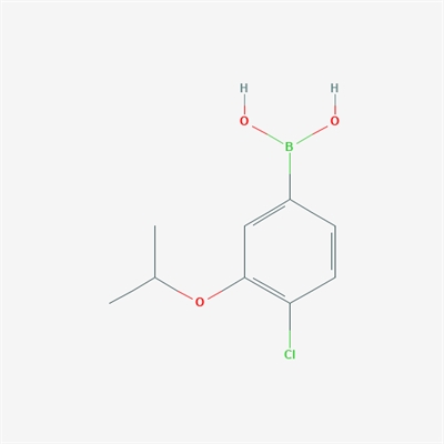 (4-Chloro-3-isopropoxyphenyl)boronic acid