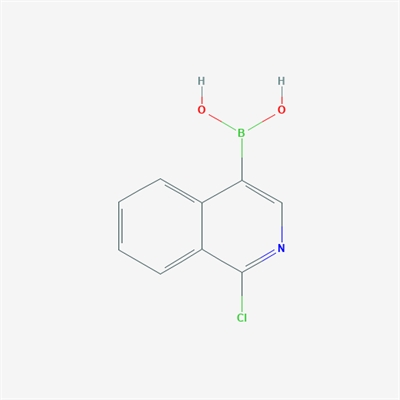 (1-Chloroisoquinolin-4-yl)boronic acid