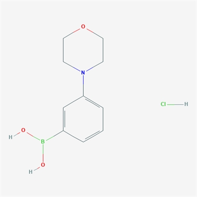 (3-Morpholinophenyl)boronic acid hydrochloride