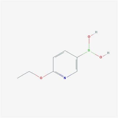 (6-Ethoxypyridin-3-yl)boronic acid