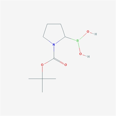 1-N-Boc-Pyrrolidin-2-ylboronic acid