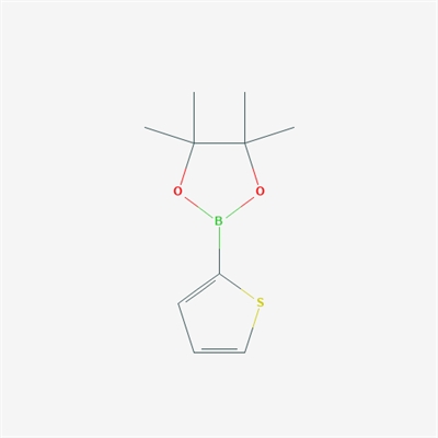 4,4,5,5-Tetramethyl-2-(2-thienyl)-1,3,2-dioxaborolane