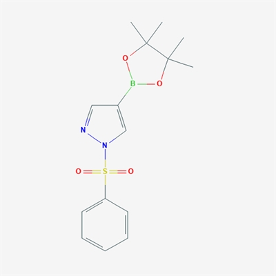 1-(Phenylsulfonyl)-4-(4,4,5,5-tetramethyl-1,3,2-dioxaborolan-2-yl)-1H-pyrazole