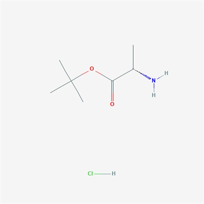 H-Ala-OtBu·HCl