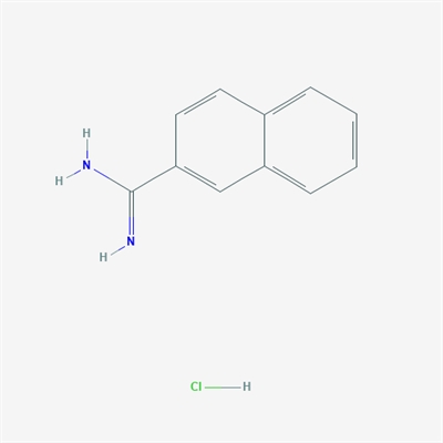 2-Naphthalenecarboximidamide, hydrochloride (1:1)
