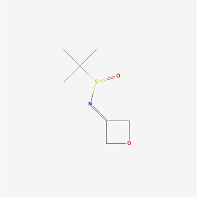 2-Methyl-N-(oxetan-3-ylidene)propane-2-sulfinamide