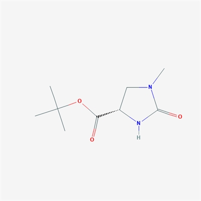 (S)-tert-Butyl 1-methyl-2-oxoimidazolidine-4-carboxylate