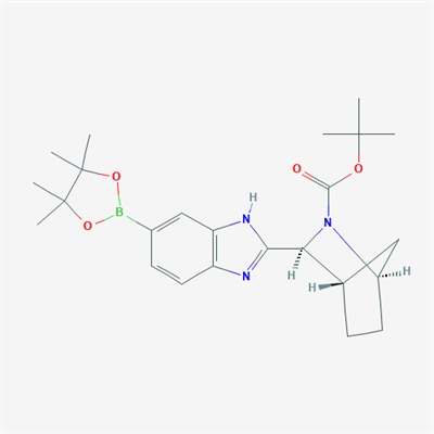 (1R,3S,4S)-tert-Butyl 3-(6-(4,4,5,5-tetramethyl-1,3,2-dioxaborolan-2-yl)-1H-benzo[d]imidazol-2-yl)-2-azabicyclo[2.2.1]heptane-2-carboxylate