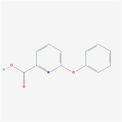 6-Phenoxypicolinic acid