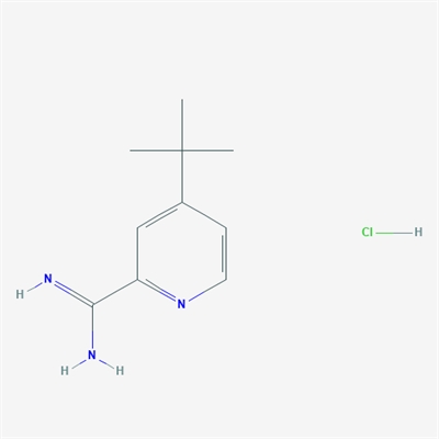 4-(tert-Butyl)picolinimidamide hydrochloride