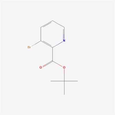 tert-Butyl 3-bromopicolinate