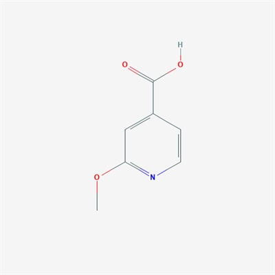 2-Methoxyisonicotinic acid