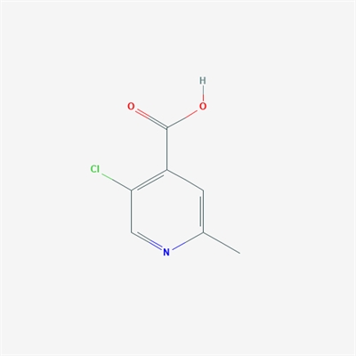 5-Chloro-2-methylisonicotinic acid