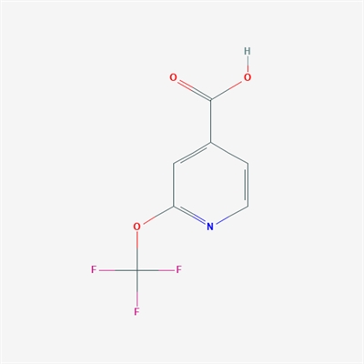 2-(Trifluoromethoxy)isonicotinic acid