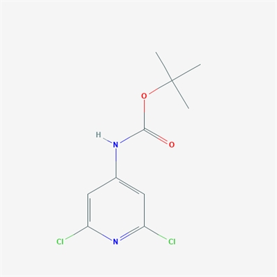 tert-Butyl (2,6-dichloropyridin-4-yl)carbamate