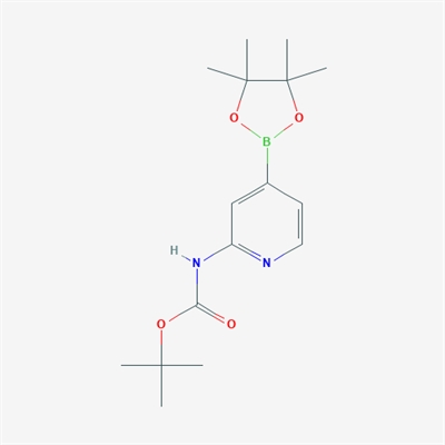 tert-Butyl (4-(4,4,5,5-tetramethyl-1,3,2-dioxaborolan-2-yl)pyridin-2-yl)carbamate